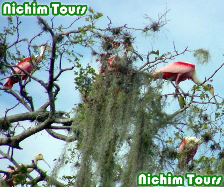 LAGUNA DE CATAZAJA. Tour de naturaleza y observacion de aves