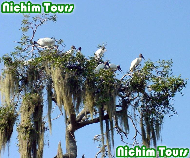 LAGUNA DE CATAZAJA. Tour de naturaleza y observacion de aves