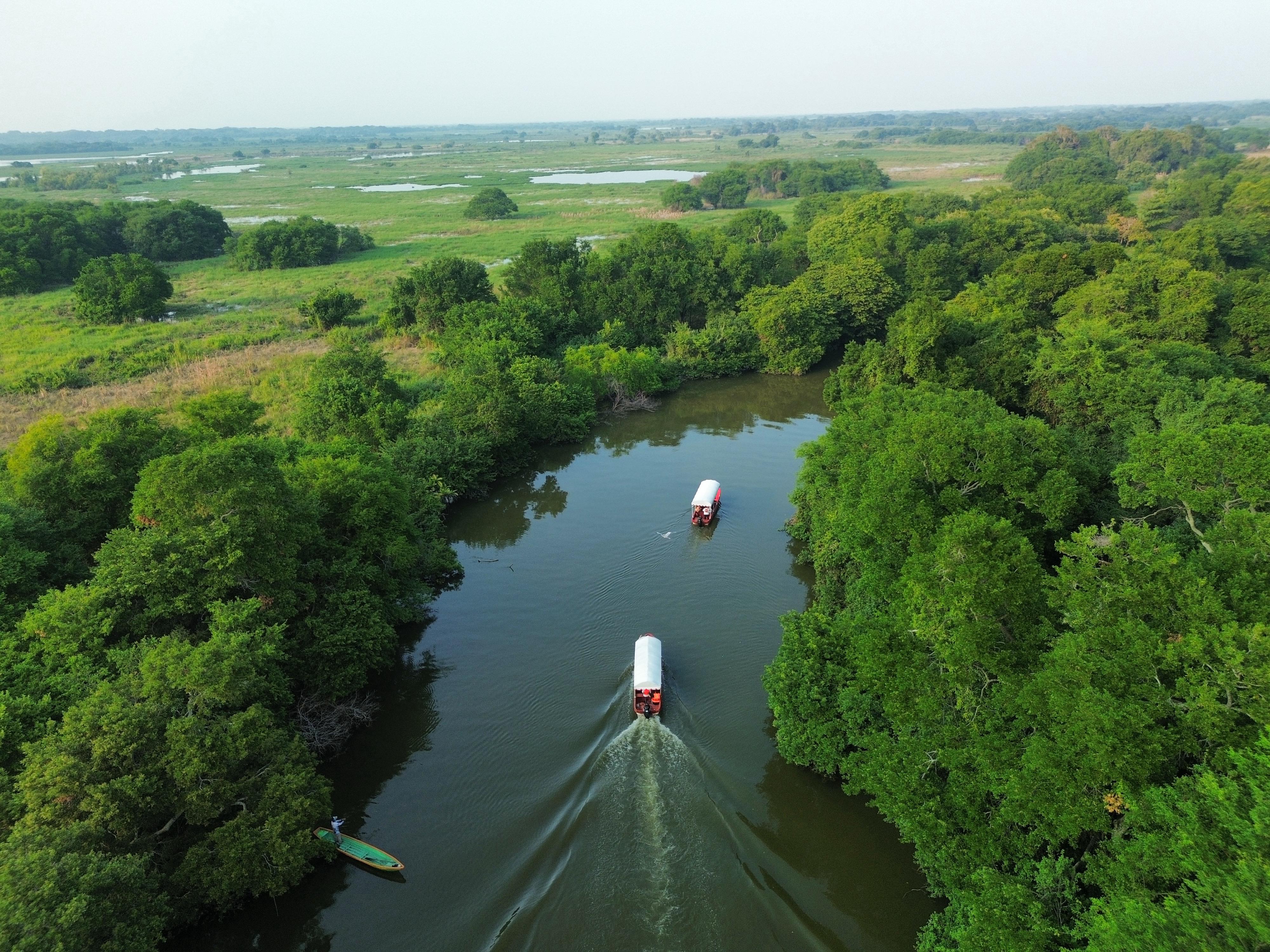 LAGUNA DE CATAZAJA. Tour de naturaleza y observacion de aves