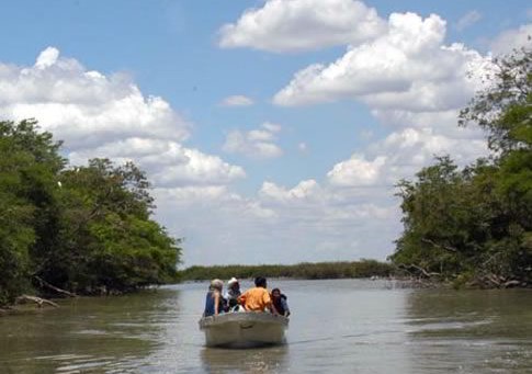 LAGUNA DE CATAZAJA. Tour de naturaleza y observacion de aves