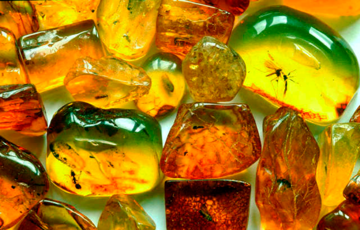 TOUR TO THE AMBAR´S LAND 2 DAYS